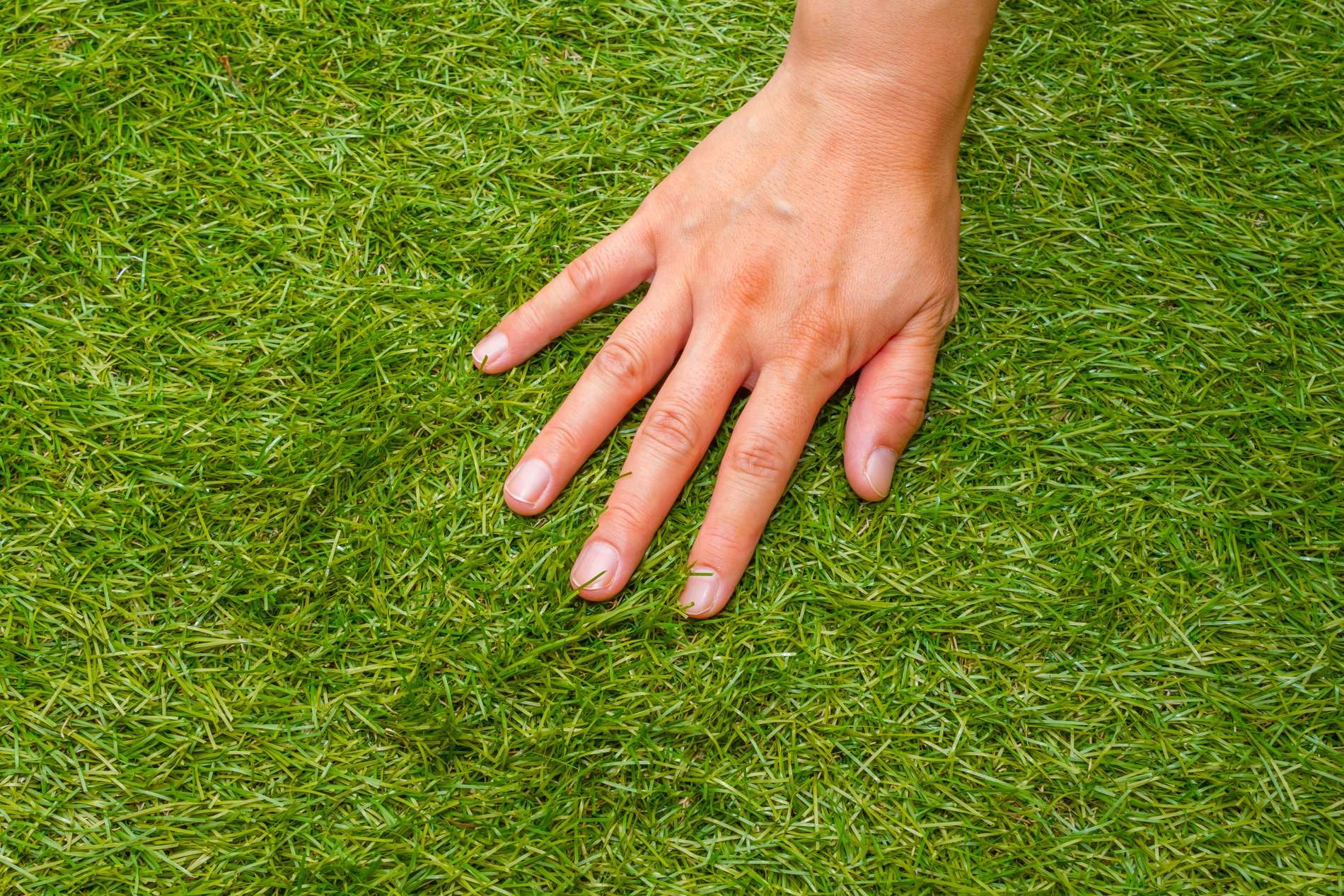 今後更新してまいります!